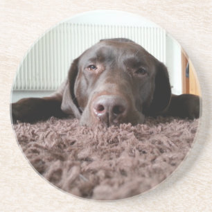 Dessous De Verre En Grès un mignon chiot du laboratoire de chocolat dormant