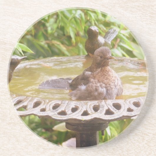 Dessous De Verre En Grès Un Oiseau Dans Le Bain (Devant)