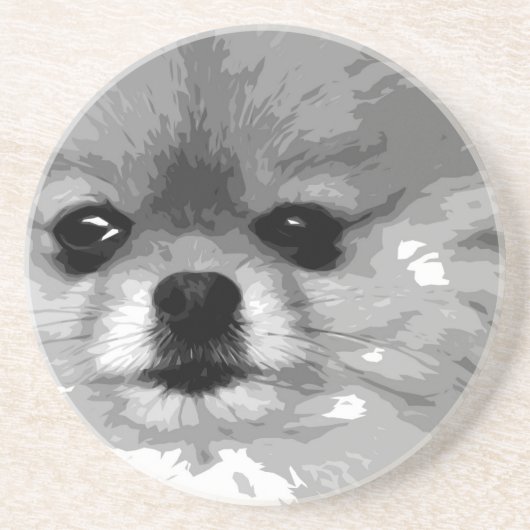 Dessous De Verre En Grès Un Pomeranian noir et blanc (Devant)