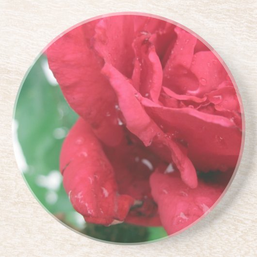 Dessous De Verre En Grès Une rose rouge (Devant)