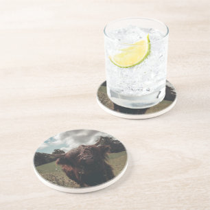 Dessous De Verre En Grès Vache écossaise de la région montagneuse noire pât