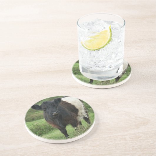 Dessous De Verre En Grès Vache galloway à ceinture (Côté)