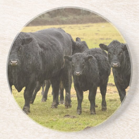 Dessous De Verre En Grès Vaches sous la pluie (Devant)