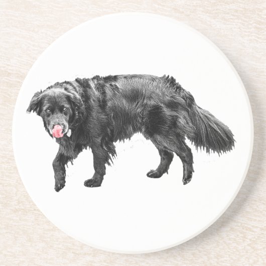 Dessous De Verre En Grès Vapeur de cannelle, Lick d'araignée (Devant)