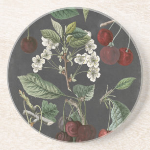 Dessous De Verre En Grès Variétés de verger I