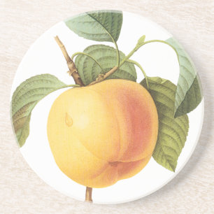 Dessous De Verre En Grès Vintage Fruit Food, Calville Apple by Redoute