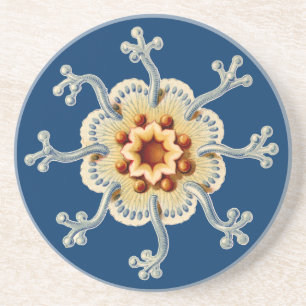 Dessous De Verre En Grès Vintage Haeckel