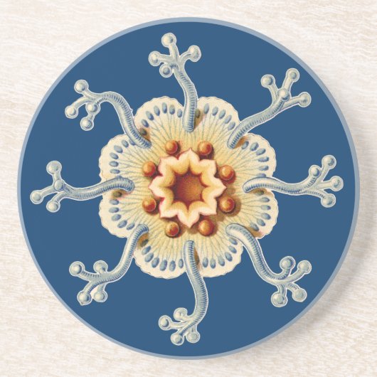 Dessous De Verre En Grès Vintage Haeckel (Devant)