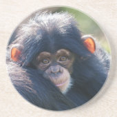 Dessous De Verre En Grès Voyage du bébé chimpanzé (Devant)