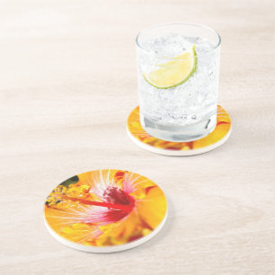 Dessous De Verre En Grès Vue latérale de l'Hibiscus orange