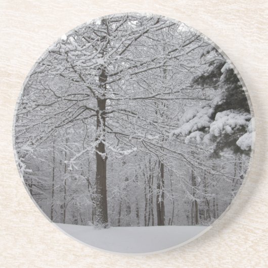 Dessous De Verre En Grès Vue Woods (Devant)