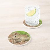Dessous De Verre En Grès WA, Redmond, lapin bébé à queue blanche (Côté)