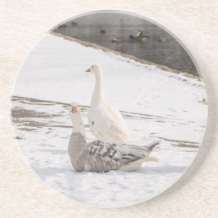 Dessous De Verre En Grès Whats Up Goose