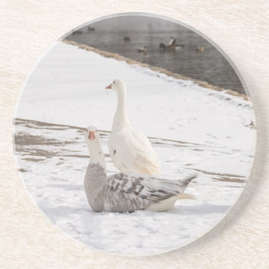 Dessous De Verre En Grès Whats Up Goose (Devant)