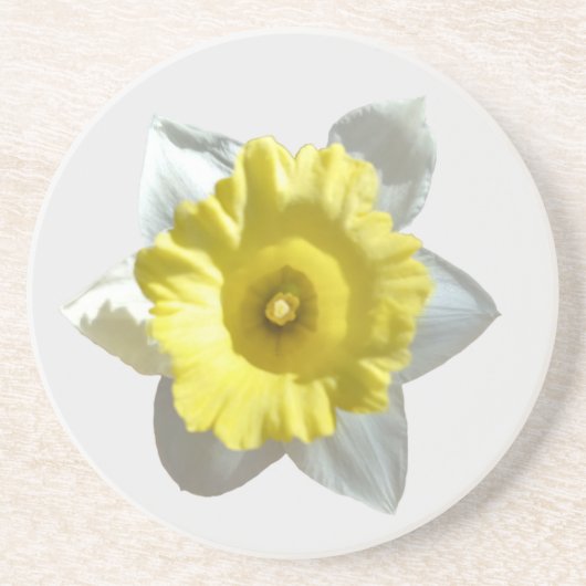 Dessous De Verre En Grès White Daffodil Sandstone Coaster (Devant)