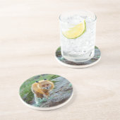 Dessous De Verre En Grès Wild Red Fox Vixen Wildlife Photo Art (Côté)