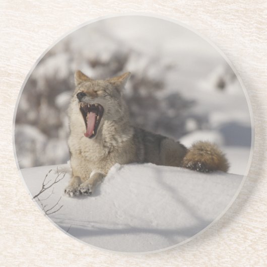 Dessous De Verre En Grès Yawn Neige Coyote (Devant)