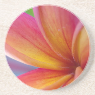 Dessous De Verre En Grès Yellow Orange Deep Pink Tropical Plumeria Flower