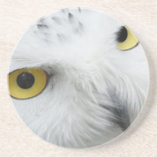Dessous De Verre En Grès Yeux de hibou neigeux (Devant)