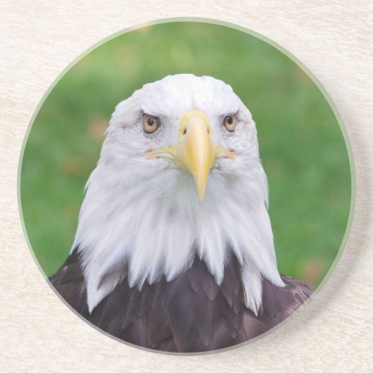 Dessous De Verre En Grès Yeux d'un aigle (Devant)