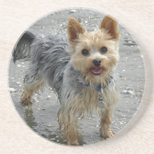 Dessous De Verre En Grès Yorkie (Devant)