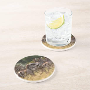 Dessous De Verre En Grès Zèbres en mouvement : Un voyage de mille milles