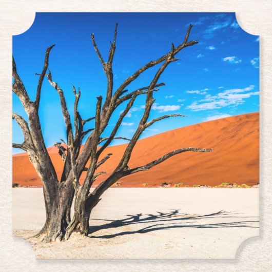 Dessous-de-verre En Papier Arbre mort à Deadvlei, Namibie (Devant)