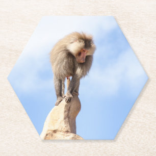 Dessous-de-verre En Papier Babouin singe au sommet d'une montagne