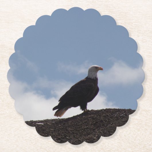 Dessous-de-verre En Papier Bald Eagle Paper Coasters (Devant)