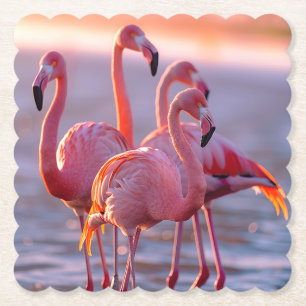 Dessous-de-verre En Papier Beau Flamants roses roses Tropical