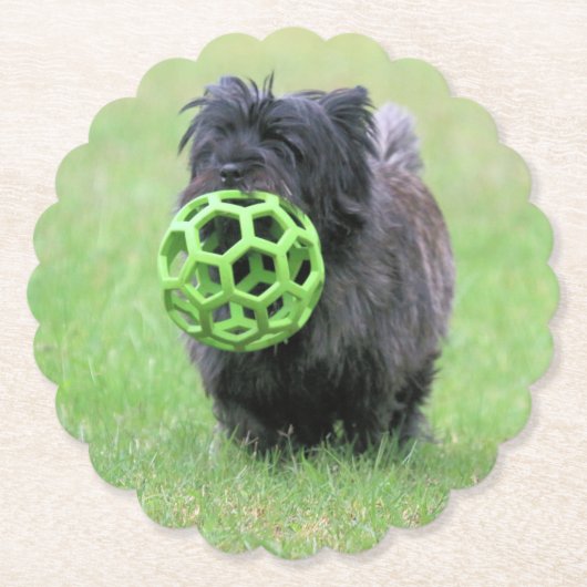 Dessous-de-verre En Papier Cairn terrier (Devant)