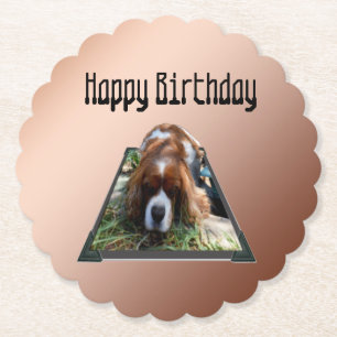 Dessous-de-verre En Papier Cavalier Spaniel Popout Art,