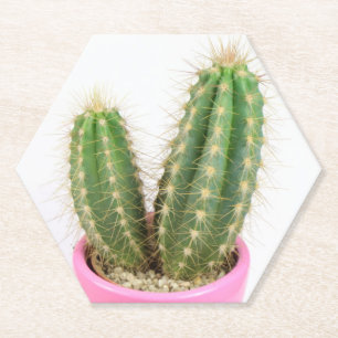 Dessous-de-verre En Papier Cereus cactus