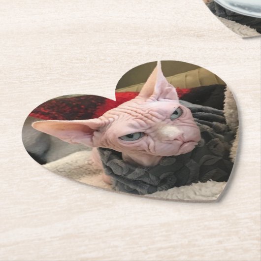 Dessous-de-verre En Papier Chat chauve - cadeau d'objet superflu (Incliné)