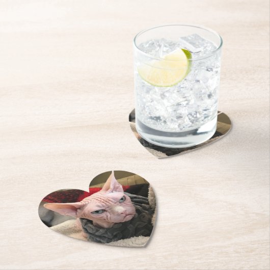 Dessous-de-verre En Papier Chat chauve - cadeau d'objet superflu (En situation)