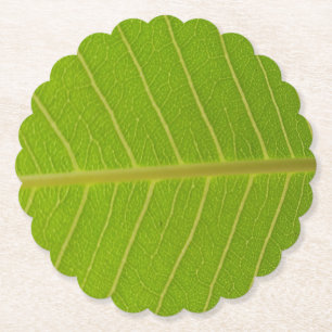 Dessous-de-verre En Papier Conception de la feuille verte naturelle et de la 
