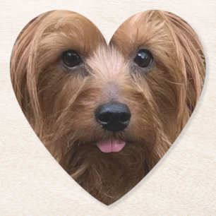 Dessous-de-verre En Papier Créez votre propre chien Photo personnalisée Chien