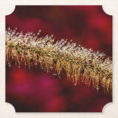 Dessous-de-verre En Papier Dew du matin (Devant)