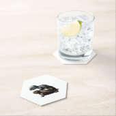 Dessous-de-verre En Papier dinosaure sur tortue Copier (En situation)