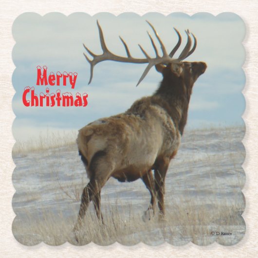 Dessous-de-verre En Papier E58 Big Bull Elk Lucky 13 Coaster (Devant)
