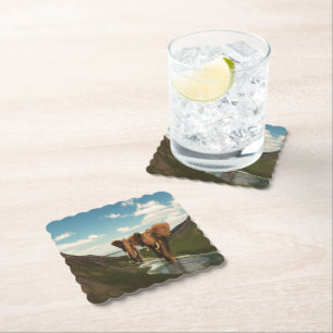 Dessous-de-verre En Papier Eléphant
