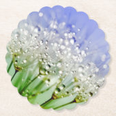 Dessous-de-verre En Papier Graines de Dandelion avec Droplets de Dew (Devant)