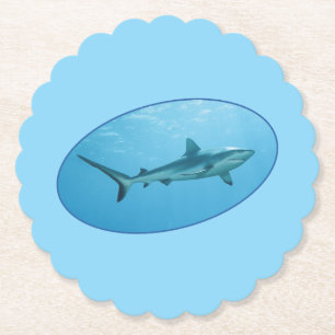 Dessous-de-verre En Papier Grey Reefshark, Yap Island - Design photographique