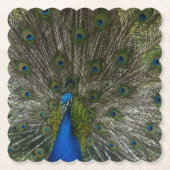 Dessous-de-verre En Papier Kauai Peacock (Devant)
