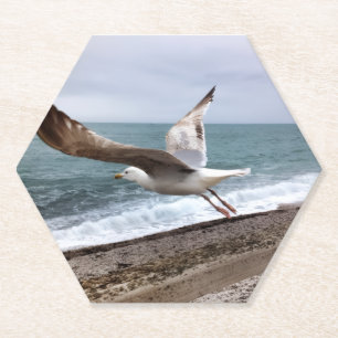 Dessous-de-verre En Papier Le goëland d'Etretat français