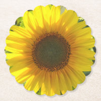 Lueur de tournesol