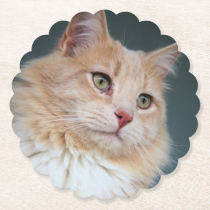 Dessous-de-verre En Papier M. Handsome