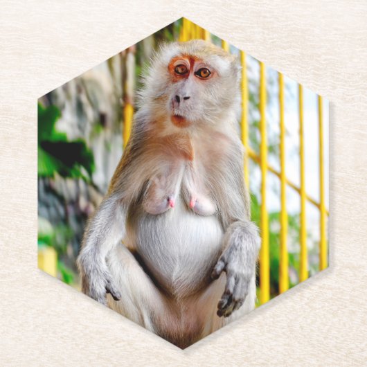 Dessous-de-verre En Papier Macaque crabier (Devant)