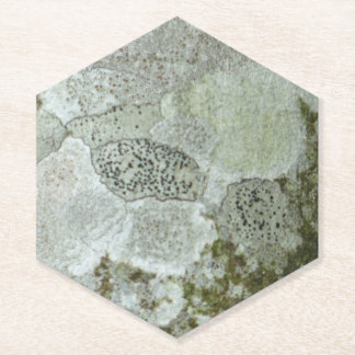 Dessous-de-verre En Papier Motif d'écorce d'arbre gris