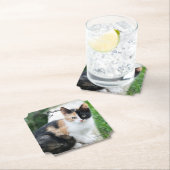 Dessous-de-verre En Papier Opera Phantom Chat (En situation)